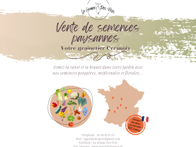 Graine des prés
