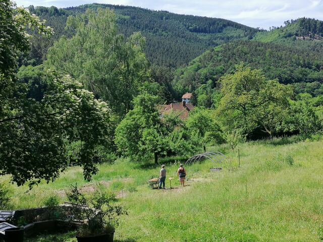 Domaine de la Chouette