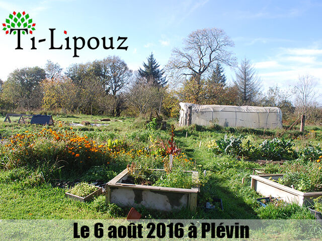 Ti Lipouz