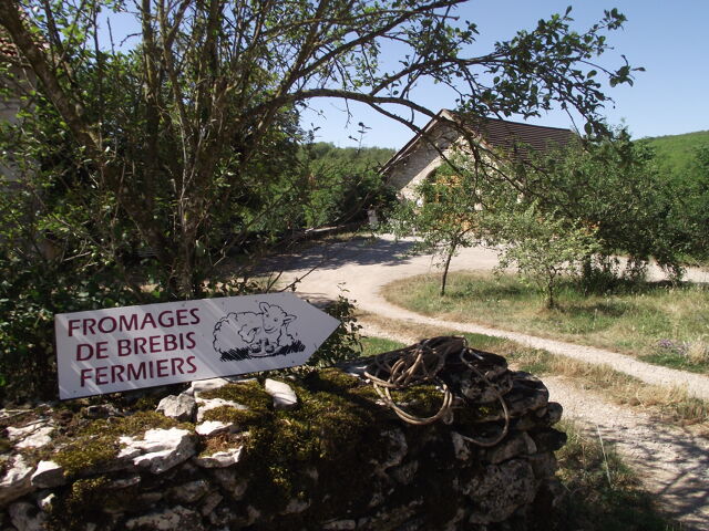 Les Bergers du Causse