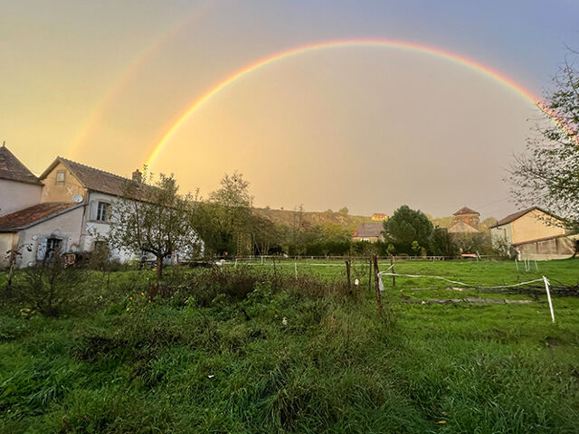 Les Champs de l'Île