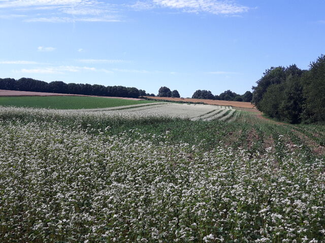 La ferme de Sezelard