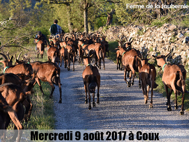 Ferme de la Jaubernie (chévrerie bio)