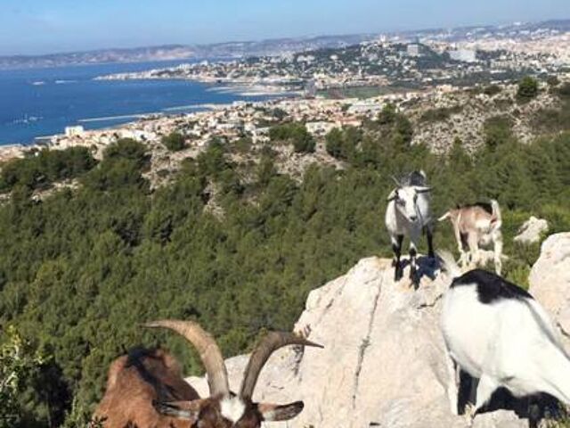 Ferme du Roy d'Espagne