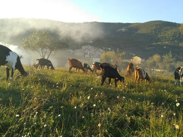 La Ferme des Cairns