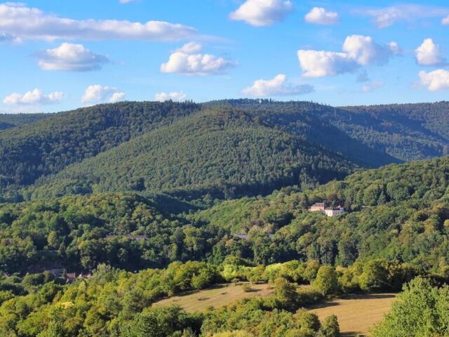 Parc Naturel Régional des Vosges