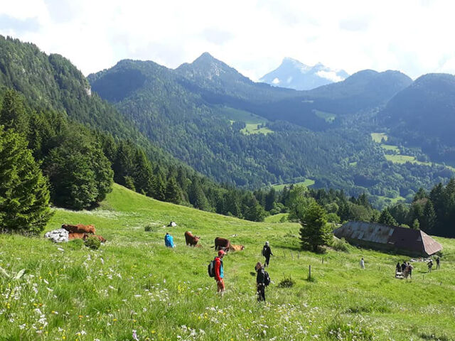 La Ferme du Ponant