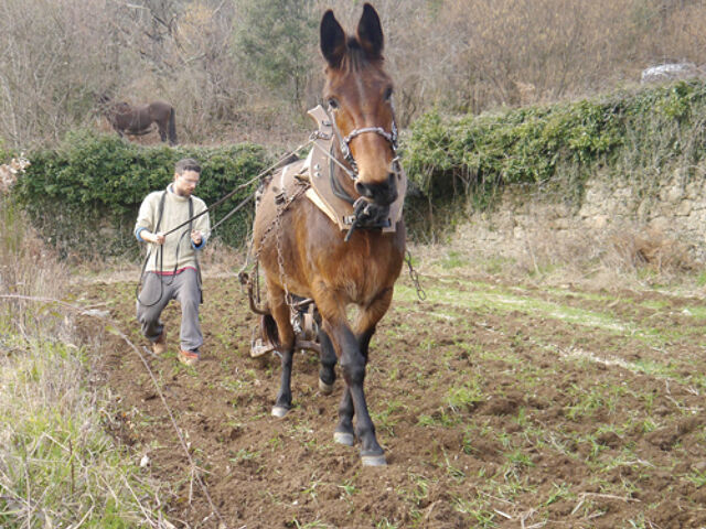 Ferme du Berquet