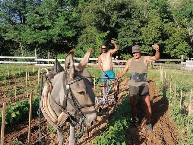 Ferme écosolidaire des Gaulois