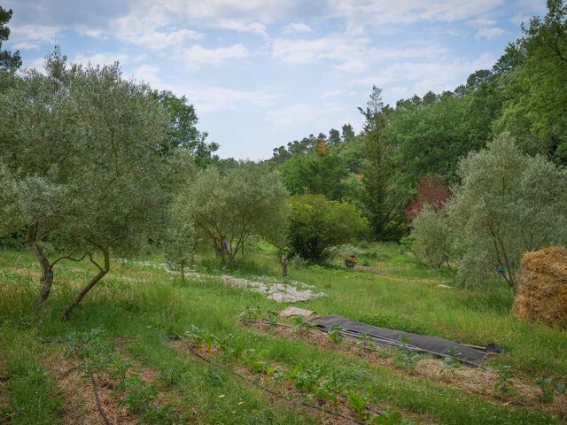 Jardin des semences