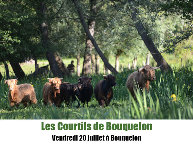 Les Courtils de Bouquelon