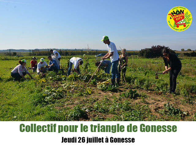 Collectif Pour le Triangle de Gonesse