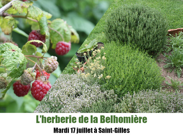 L'Herberie de la Belhomière